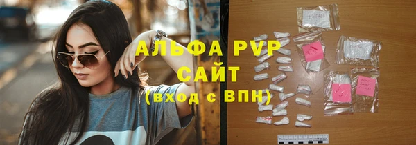 spice Богородск