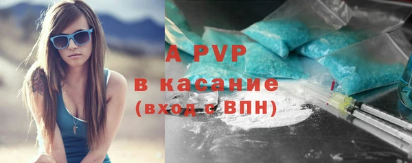 spice Богородск
