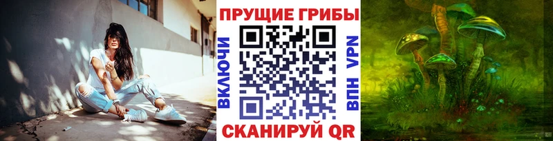 Псилоцибиновые грибы мухоморы  Демидов 