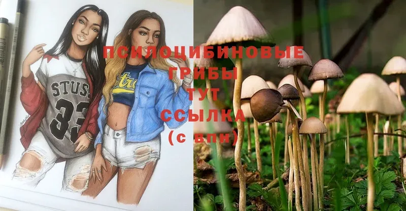 darknet формула  закладки  Демидов  Галлюциногенные грибы MAGIC MUSHROOMS 